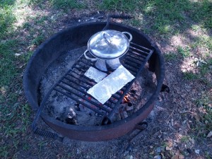 cFresh snapper and fresh shrimp cooking over a campfire grill. 