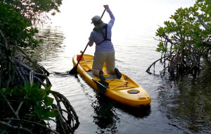 Maiden SUP Voyage